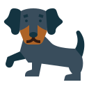 perro tejonero icon