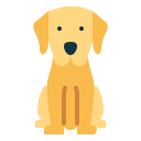 labrador icon