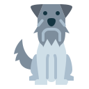 schnauzer miniatura icon