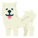 samoyedo icon