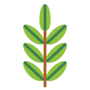잎 icon