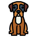 boxer icon