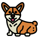 corgi 