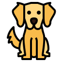 perro perdiguero de oro icon