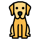 labrador icon