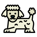 caniche icon