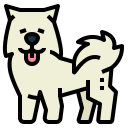 samoyedo icon