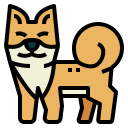 shiba icon