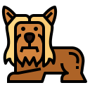 yorkshire terrier icon