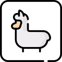 llama