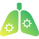 pulmones