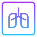 pulmones icon