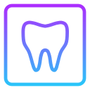 dentista icon