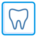 dentista icon