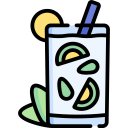 mojito icon