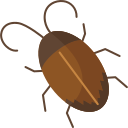 cucaracha icon