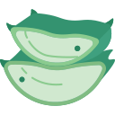 aloe vera icon