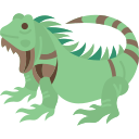 iguana 