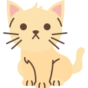 gatito 