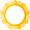 anillo icon