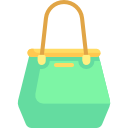 bolso icon