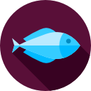 pescado icon