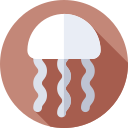 medusa icon