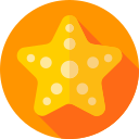 estrella de mar icon