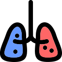 pulmones icon