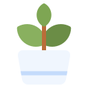 plantas icon