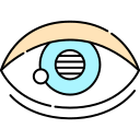 ojo icon