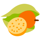 physalis icon