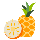 piña icon