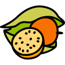 physalis icon