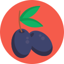 aceitunas icon