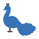 pavo real icon