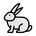 conejo icon