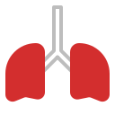 pulmones icon