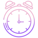 reloj icon