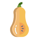 calabaza butternut