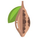 cacao 