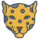 leopardo