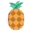 piña icon