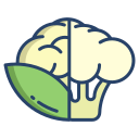 coliflor icon