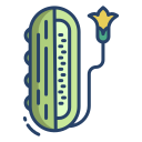 pepino icon