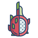 dragon de fruta icon