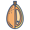 naranja china icon