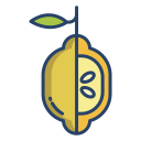 limón icon