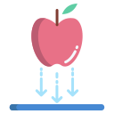 manzana icon