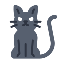 gato